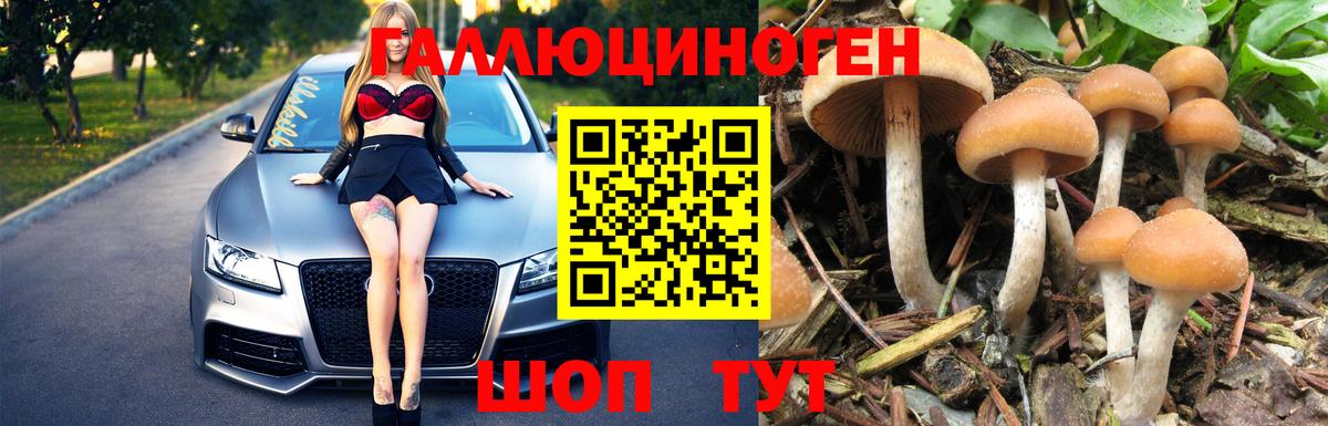 Псилоцибиновые грибы мицелий Ульяновск