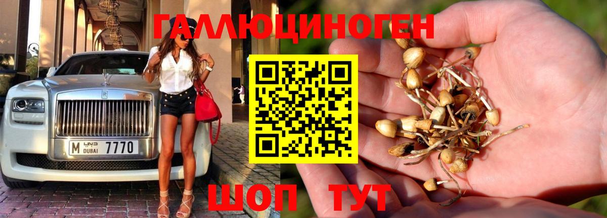 Ульяновск  Галлюциногенные грибы GOLDEN TEACHER  Вход с VPN 